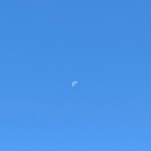 Meet your Posher, Noah